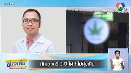 กัญชาเสรี 3 ปี ได้ ! ไม่คุ้มเสีย