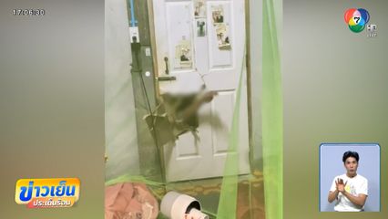 ชายเมาคลั่ง หลอน ทุบประตูทะลุ