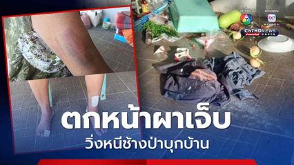 ป้าวัย 65 วิ่งหนีช้างป่าบุกบ้าน จนพลัดตกหน้าผาบาดเจ็บ