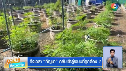 ถึงเวลา กัญชา กลับเข้าสู่ระบบที่ถูกต้อง ?