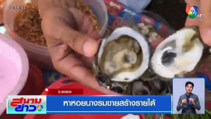 หาหอยนางรมขายสร้างรายได้