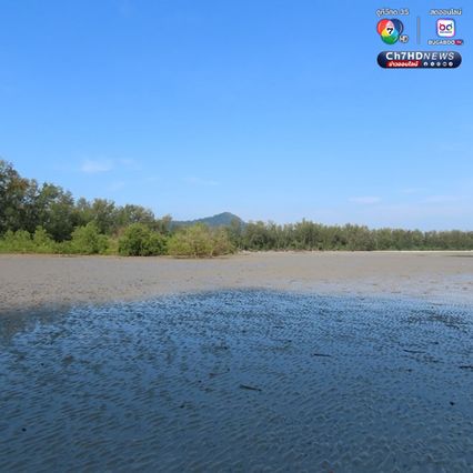 “ปูทหาร” เดินขบวนเต็มหาด สะท้อนความสมบูรณ์ธรรมชาติ