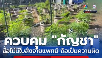 ถึงเวลา กัญชา กลับเข้าสู่ระบบที่ถูกต้อง ?
