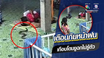 เตือนภัยหน้าฝน เกือบโดนงูฉกไม่รู้ตัว