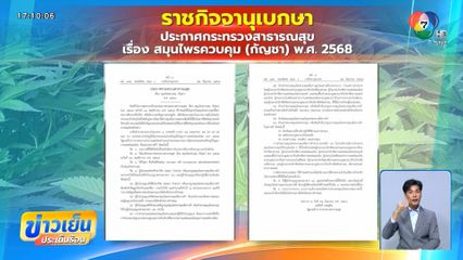 ถึงเวลากัญชา กลับไปเป็นยาเสพติด