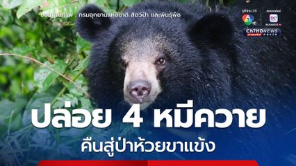 สบอ.12 ปล่อย 4 หมีควาย กองทัพ-น้ำเมย-เจ้าขุน-เจ้าเขา คืนสู่ป่าห้วยขาแข้ง 