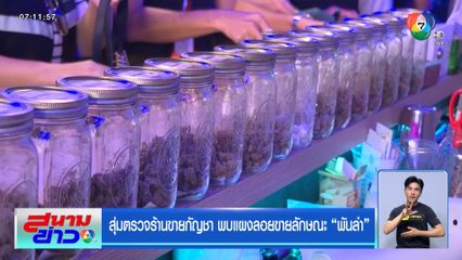 สุ่มตรวจร้านขายกัญชา พบแผงลอยขายลักษณะพันลำ