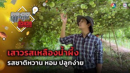ตะลุยต่อยอด : เสาวรสเหลืองน้ำผึ้ง รสชาติหวาน หอม ปลูกง่าย