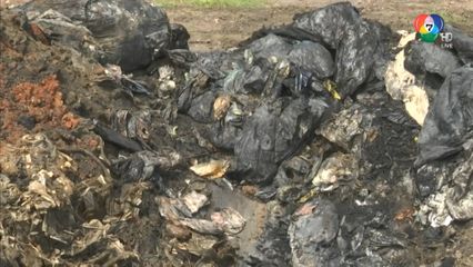 สุดซอย พบขยะสารเคมีใต้ดิน 5 หมื่นตัน