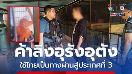 ทลายขบวนการค้าลิงอุรังอุตังข้ามชาติใช้ไทยเป็นทางผ่าน