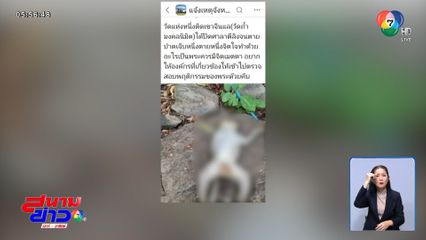 พระแจง แค่ตีไล่ลิง ไม่คิดว่าจะถึงตาย