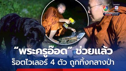 พระครูอ๊อด พร้อมมูลนิธิ The ARK Found เข้าช่วยสุนัขพันธุ์ร็อตไวเลอร์ 4 ตัว ถูกนำมาทิ้งกลางป่าสภาพผอมโซ