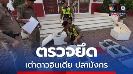 ตรวจยึดเต่าดาวอินเดียและปลามังกรลักลอบนำเข้าจากประเทศเพื่อนบ้าน มูลค่ากว่า 2 ล้านบาท