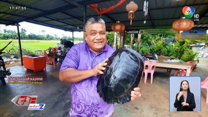 คิดว่าโจร ! ที่แท้เต่ายักษ์บุกบ้าน เชื่อมาให้โชค