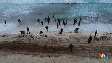 เม็กซิโกระดมพลเก็บกวาดสาหร่ายริมชายหาด