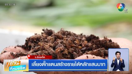 เลี้ยงตั๊กแตนสร้างรายได้หลักแสนบาท