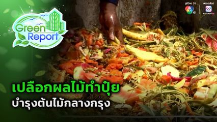 Green Report : เปลือกผลไม้ทำปุ๋ย บำรุงต้นไม้กลางกรุง