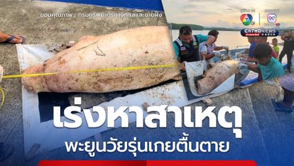 เร่งหาสาเหตุ พะยูนวัยรุ่นเกยตื้นตาย