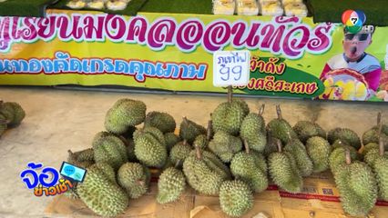 1 ชิ้น 1 บาท ช่วยชาวสวนทุเรียน