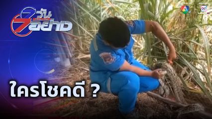 7 วัน 7 อย่าง : ใครโชคดี ?