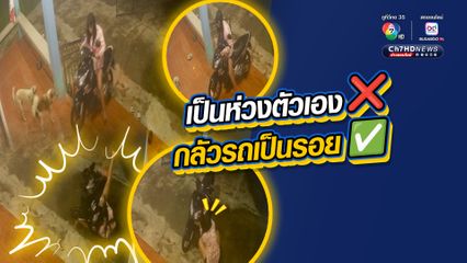 สาวนักธุรกิจซื้อขายรถมือสอง ประมาทขี่รถ จยย. ขึ้นบันไดบ้าน ก่อนเกิดอุบัติเหตุ แต่กลัวรถเป็นรอย มากกว่าห่วงตัวเองเจ็บ