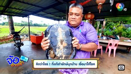 คิดว่าโจร ! ที่แท้เต่ายักษ์บุกบ้าน เชื่อมาให้โชค