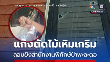 แก๊งตัดไม้เหิมเกริม ลอบยิงสำนักงานพิทักษ์ป่าพะละดอ