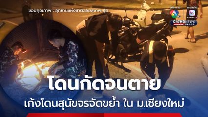 โดนกัดจนตาย เก้งโดนสุนัขจรจัดขย้ำ ใน ม.เชียงใหม่