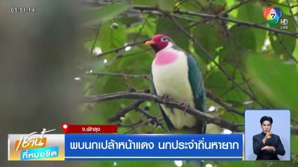พบนกเปล้าหน้าแดง นกประจำถิ่นหายาก