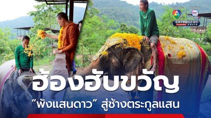 ฮ้องฮับขวัญ พังแสนดาว สู่ช้างตระกูลแสน เชือกที่ 23