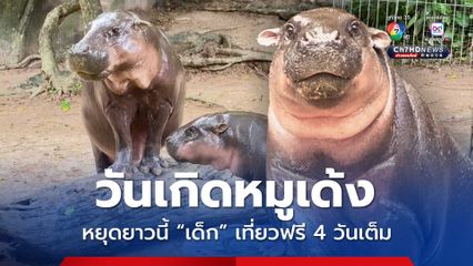 สวนสัตว์เปิดเขาเขียว จัดฉลองวันเกิดหมูเด้ง อายุ 1 ขวบ เด็กเที่ยวฟรี 4 วันเต็ม 10-13 ก.ค.นี้