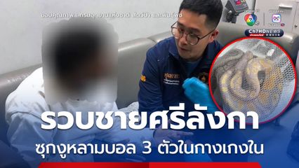 รวบชายศรีลังกา ลักลอบซุกงูหลามบอล 3 ตัวในกางเกงใน ที่สนามบินสุวรรณภูมิ