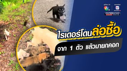 เอ็นดูใครก่อนดี หนุ่มไรเดอร์เป็นทาสหมา จากจะโดนน้องหมาตก กลายเป็นโดนล่อซื้อ