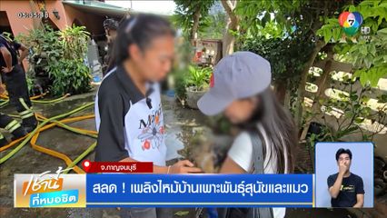 สลด! เพลิงไหม้บ้านเพาะพันธุ์สุนัขและแมว
