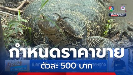 เปิดทางเลี้ยง ตัวเงินตัวทอง สัตว์เศรษฐกิจ