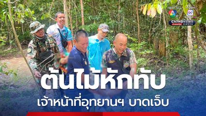 เจ้าหน้าที่ อช.ตาพระยา ถูกต้นไม้หักทับได้รับบาดเจ็บ ขณะออกลาดตระเวน ต้องหามออกจากป่าส่งโรงพยาบาล
