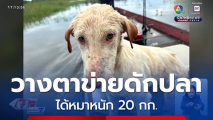 วางตาข่ายดักปลา ได้หมาหนัก 20 กก.