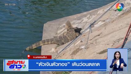 ตัวเงินตัวทอง เดินว่อนตลาด