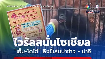 ไวรัลสนั่นโซเชียล  “เอ็ม-โดโด้” ลิงขี้เล่นปาข้าว - ปาอึ