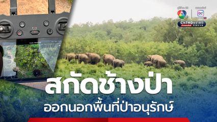 อุทยานฯ ทับลาน สกัดช้างป่า 4 โขลง ออกนอกพื้นที่ป่าอนุรักษ์