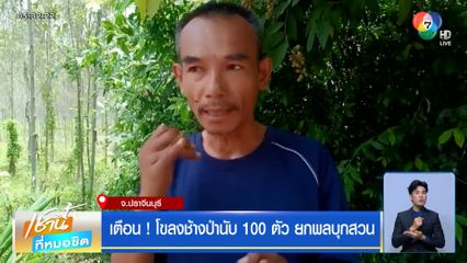 เตือน! โขลงช้างป่านับ 100 ตัว ยกพลบุกสวน