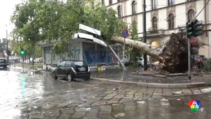 พายุฝนกระหน่ำ ต้นไม้ล้มทับคนตายที่อิตาลี