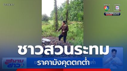 ชาวสวนระทม ราคามังคุดตกต่ำ