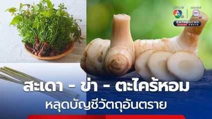 ราชกิจจาฯ ประกาศปลดล็อก สะเดา - ข่า - ตะไคร้หอม หลุดบัญชีวัตถุอันตราย