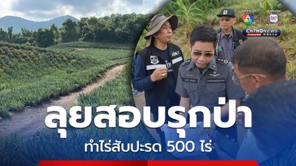 ดีเอสไอ ลุยสอบรุกป่าพุยาง-พุสามซ้อน ทำไร่สับปะรด 500 ไร่ หลังรับเรื่องร้องเรียน