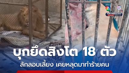 เจ้าหน้าที่บุกยึดสิงโต 18 ตัว ลักลอบเลี้ยงในปากีสถาน หลังเคยหลุดมาทำร้ายเด็ก-ผู้หญิงเจ็บ