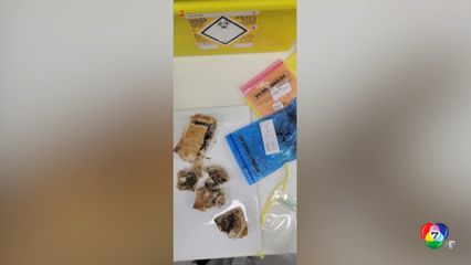 ศาลเผยหลักฐานมัดหญิงฆ่าญาติสามี ด้วยเห็ดพิษ