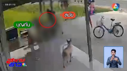 ชายหลอนยาฯ บุกฟันยายนั่งรับลมหน้าบ้าน