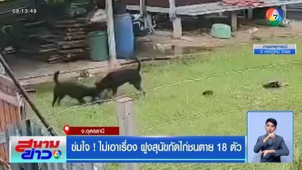 ข่มใจ ! ไม่เอาเรื่อง ฝูงสุนัขกัดไก่ชนตาย 18 ตัว