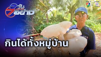 7 วัน 7 อย่าง : กินได้ทั้งหมู่บ้าน